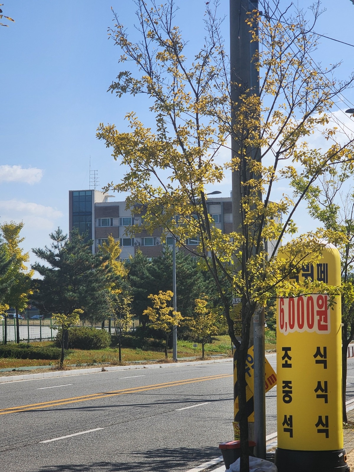 주방 찬 만들어주실분 구합니다 공고 썸네일