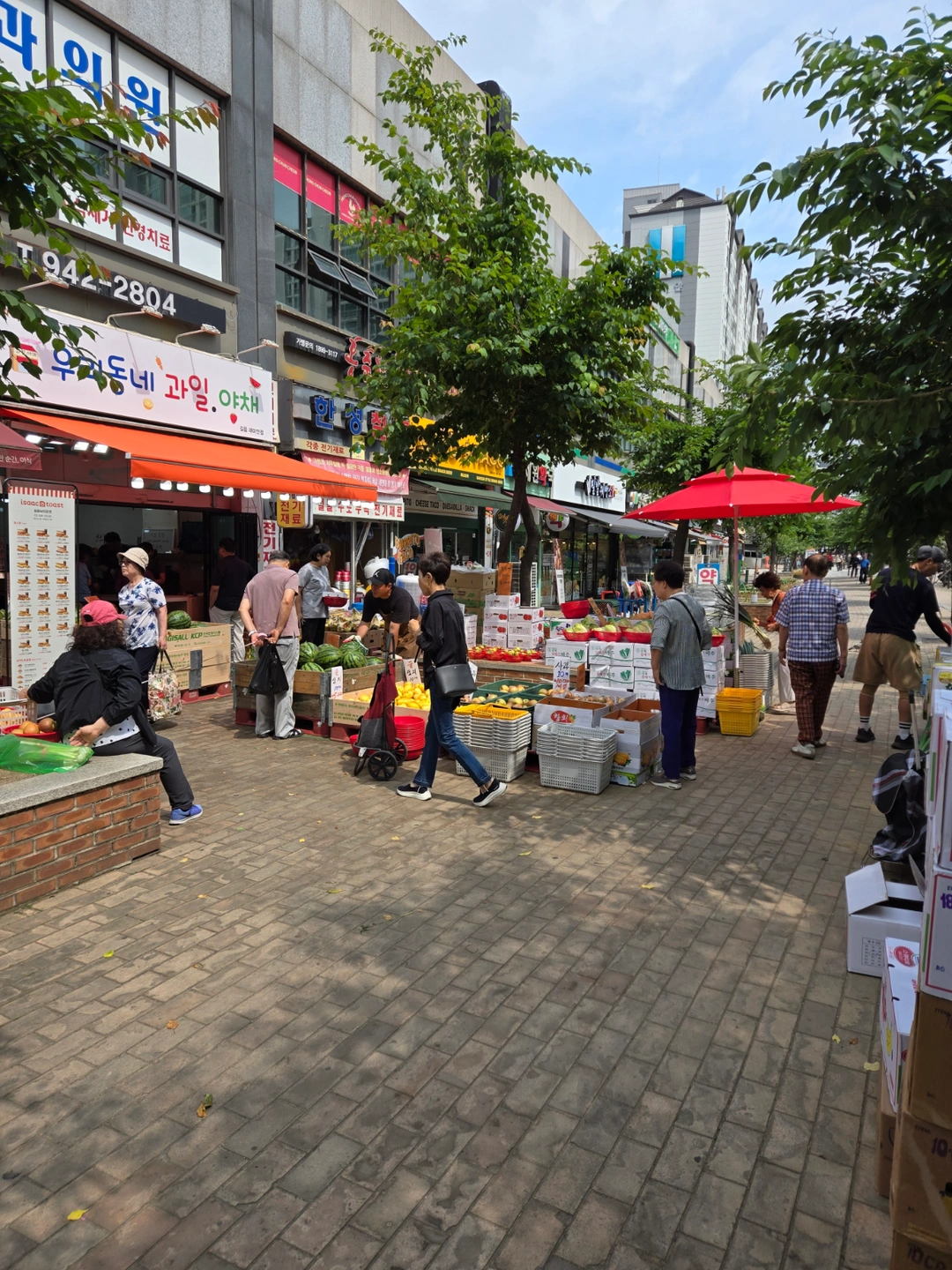 야채, 과일 진열 및 판매하실분 모집(경력자 우대)
