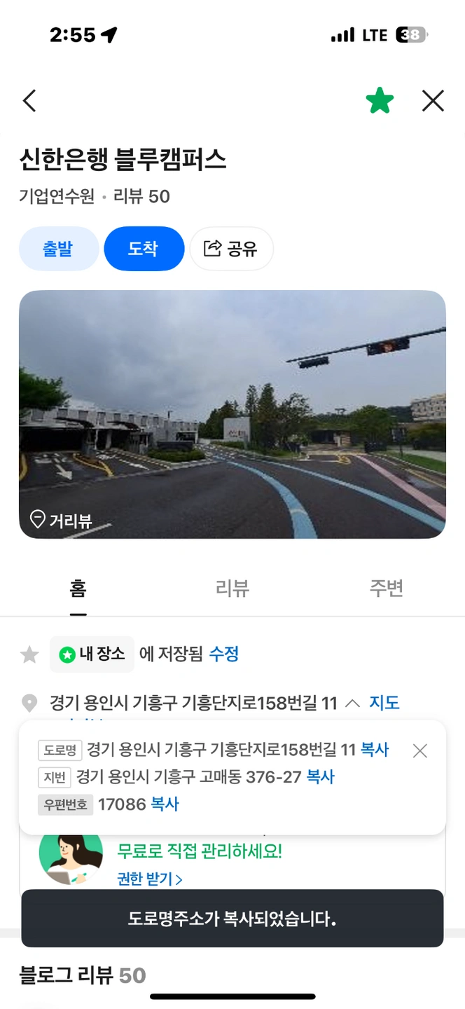 기흥 나무식재