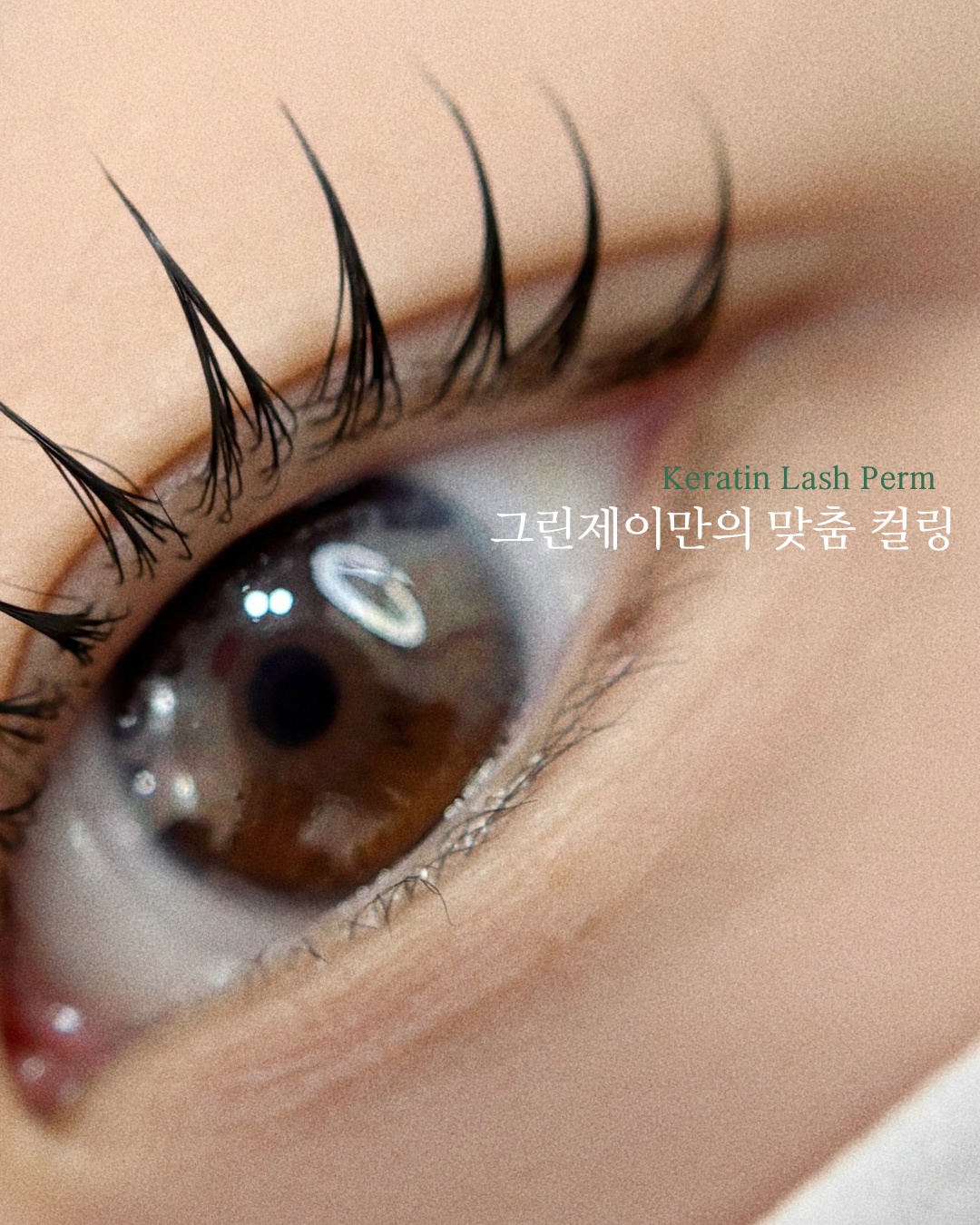 속눈썹펌 모델 구해요. 공고 썸네일
