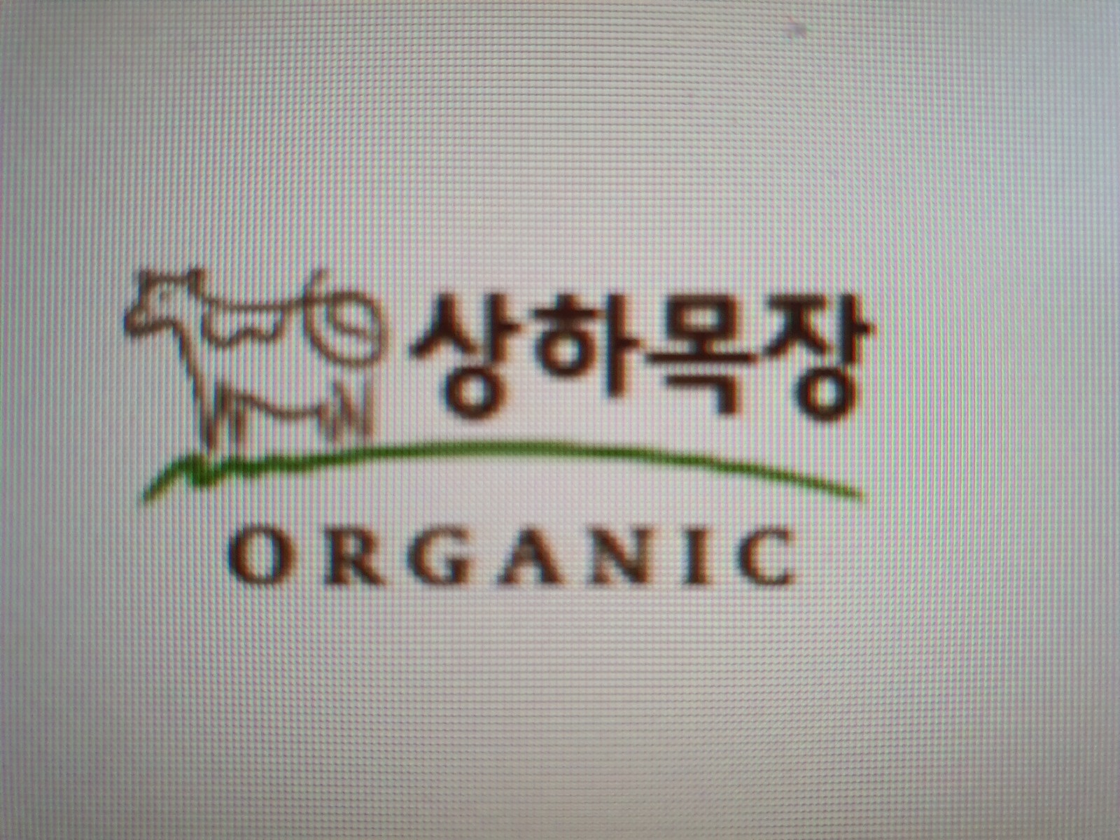 알바