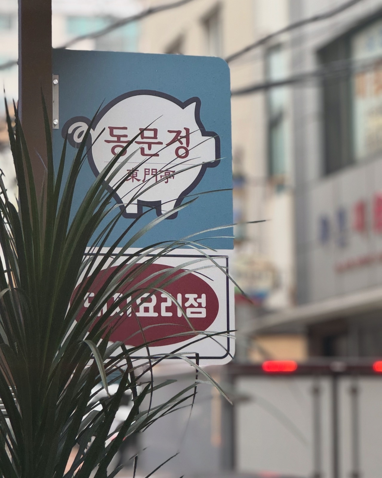 동문공설시장 한식당  동문정 에서 홀써빙 구합니다 공고 썸네일
