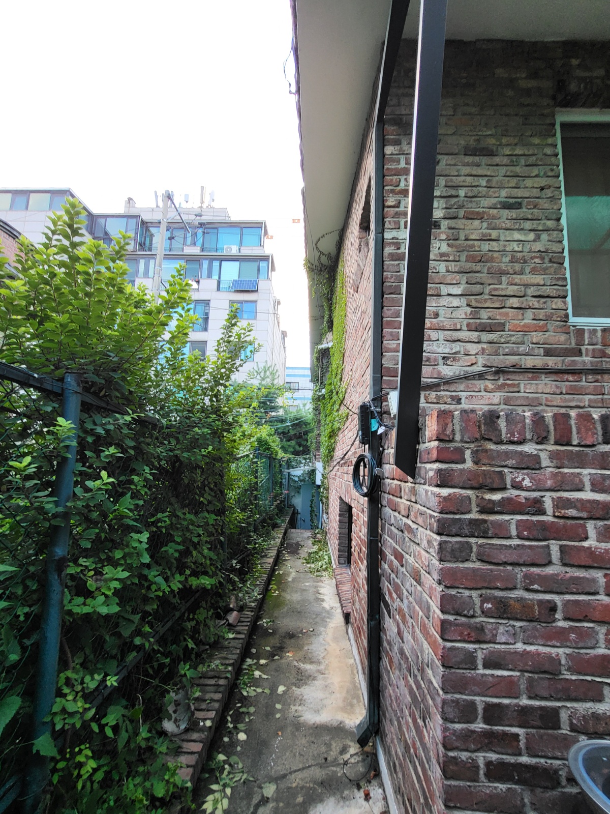 페인트칠 꼼꼼 공고 썸네일