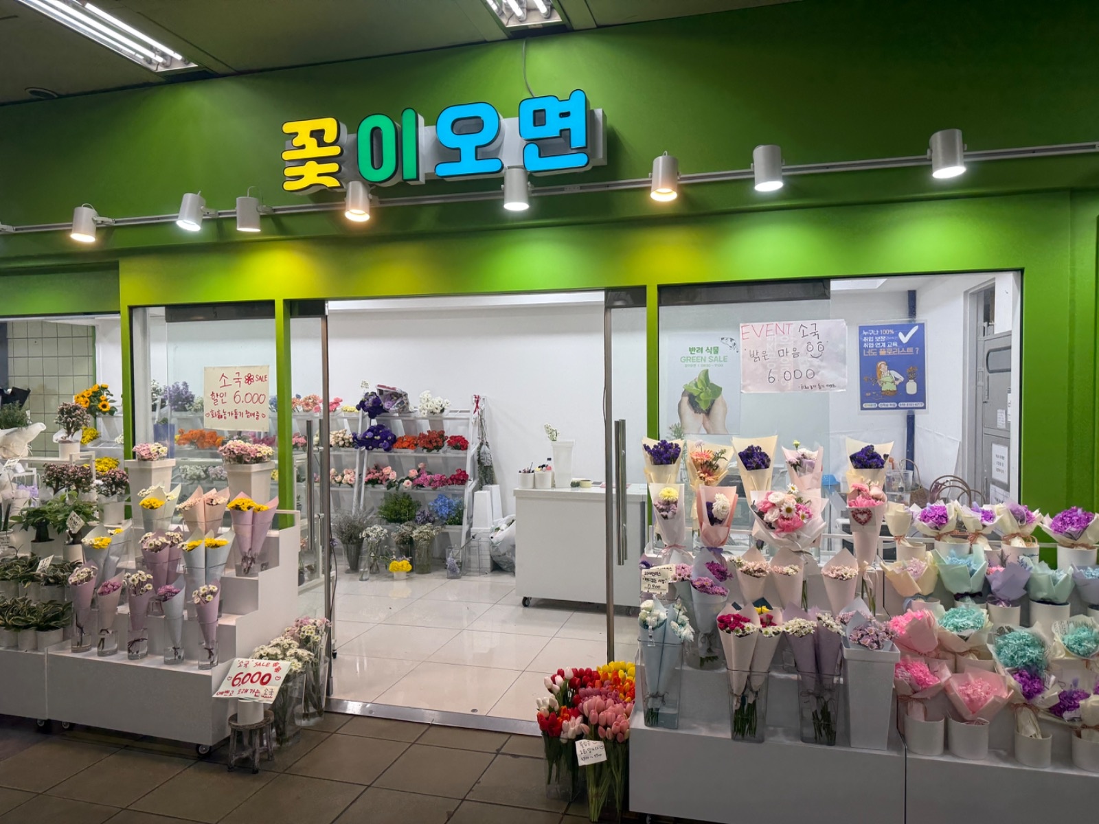 (서울 꽃집) 이대점  알바 경력자 모집합니다 공고 썸네일