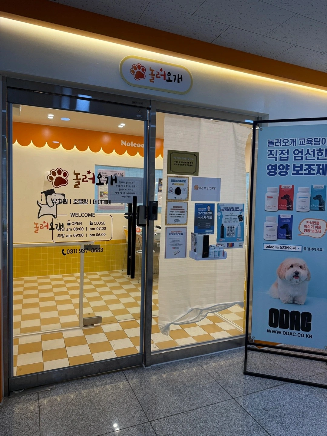 주말 애견 호텔관리