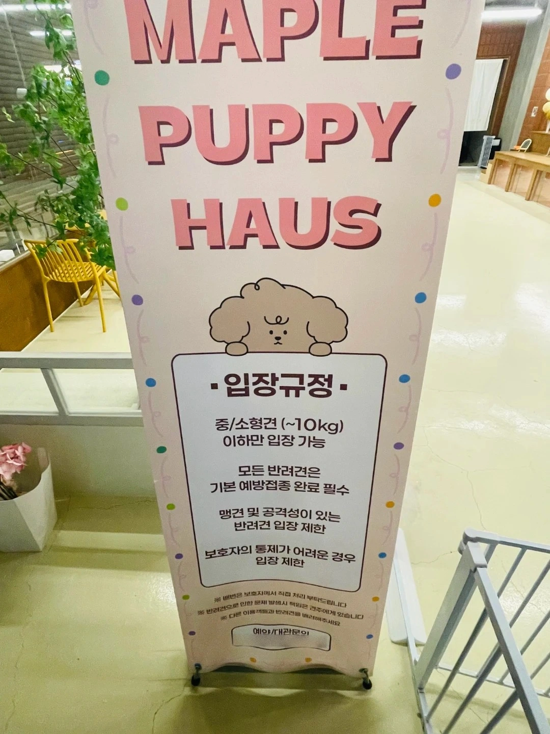 애견카페 미용사 구인