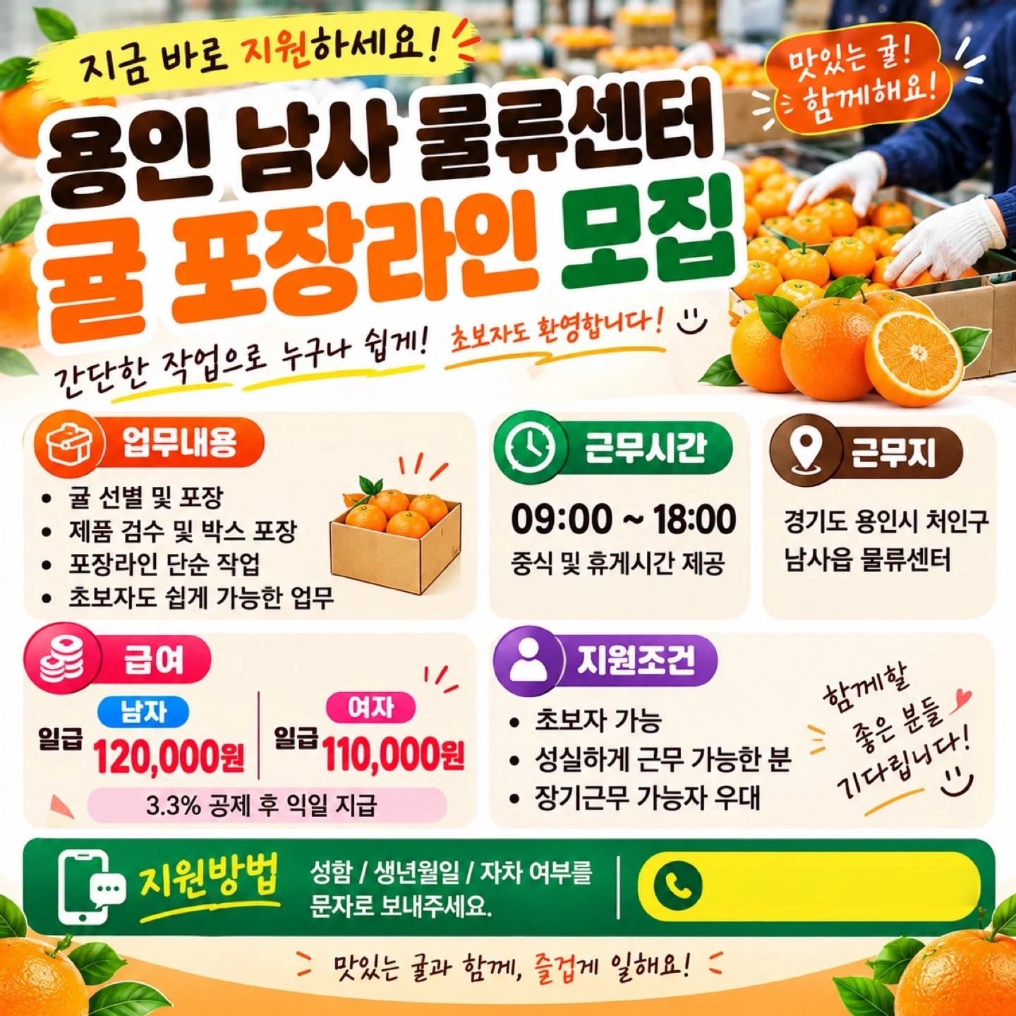 용인 남사(냉장) 물류센터 귤 포장라인 모집
