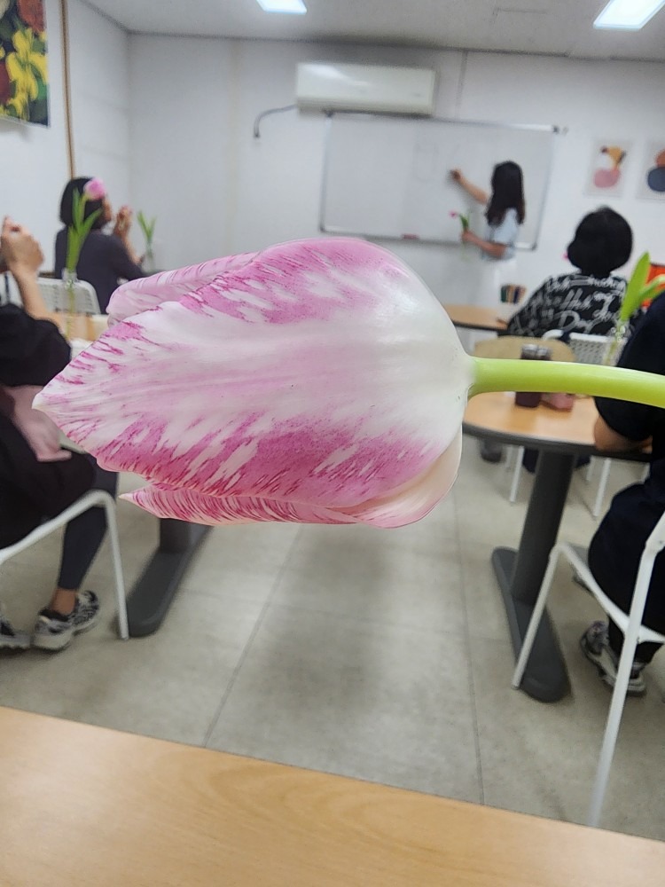 포아트 스튜디오 picture 5