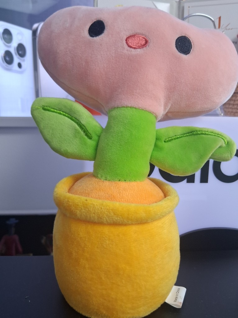 동작구성지 picture 5