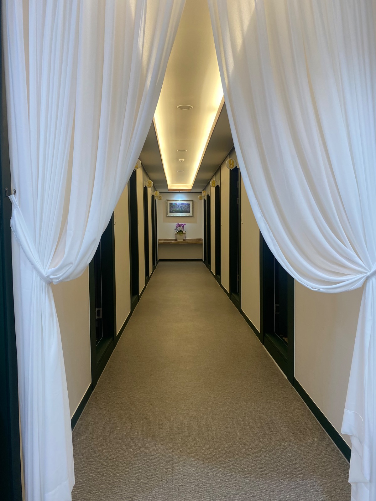 떼르메뷰티 picture 7