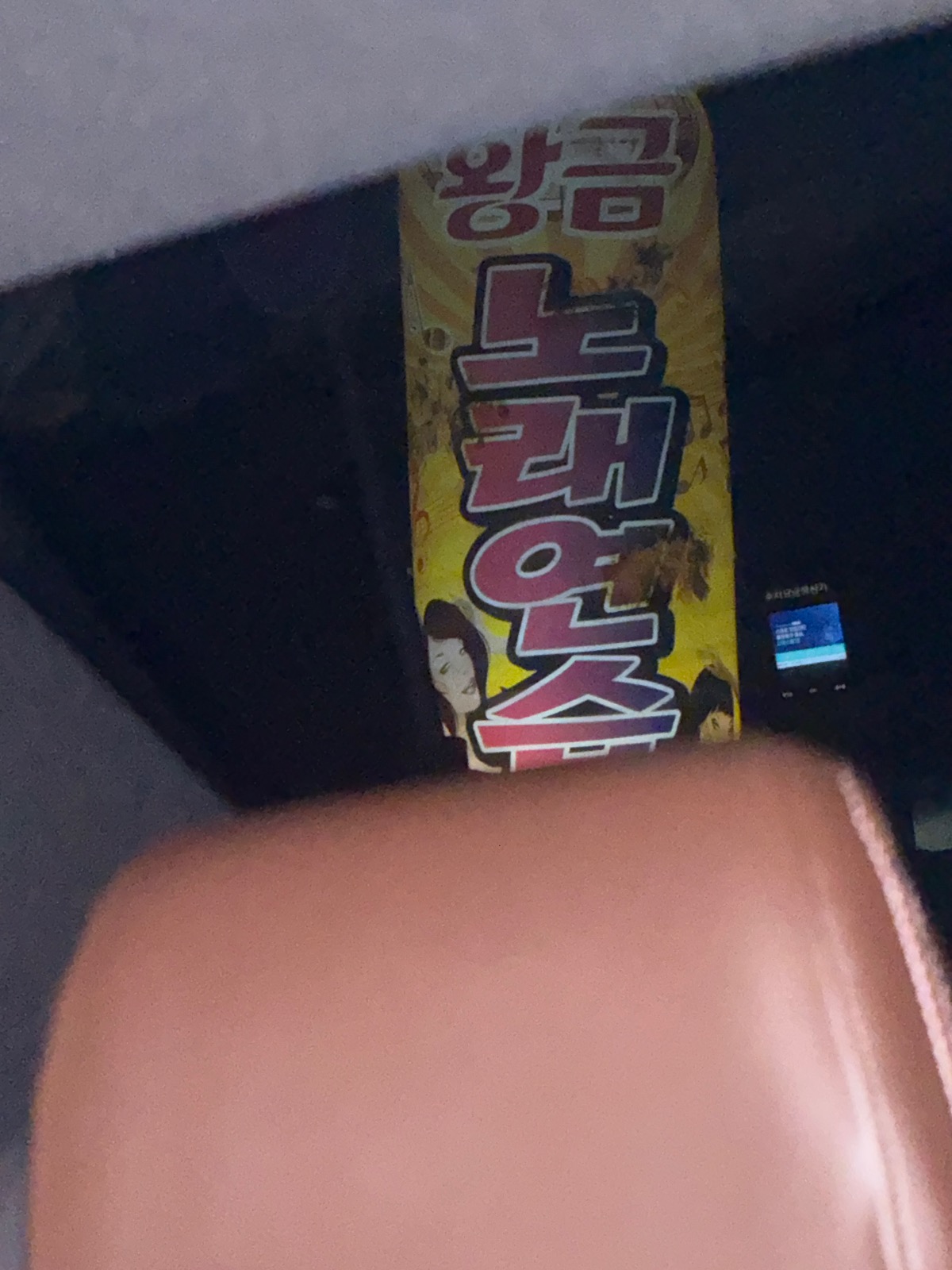 경기도 평택시 이충동 이웃들이 자주 가는 노래방 | 당근