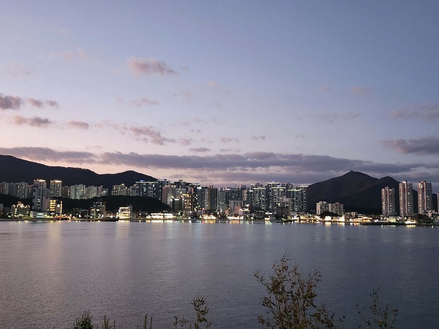 고운학리펜션 picture 0
