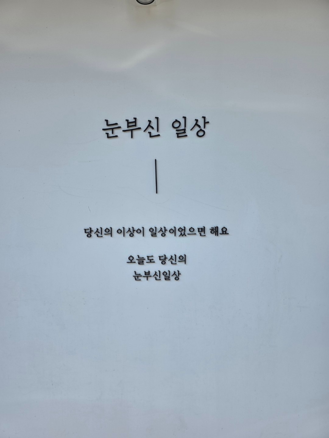 서울특별시 서초구 염곡동 이웃들이 자주 가는 사진관/스튜디오 | 당근