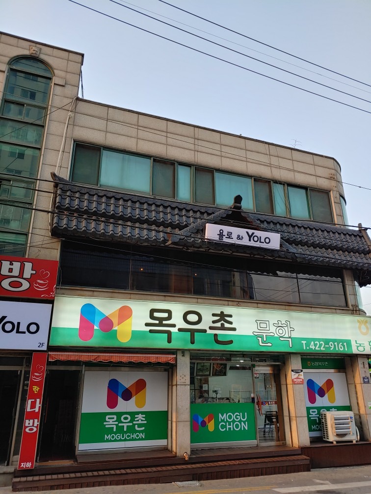 욜로와 YOLO