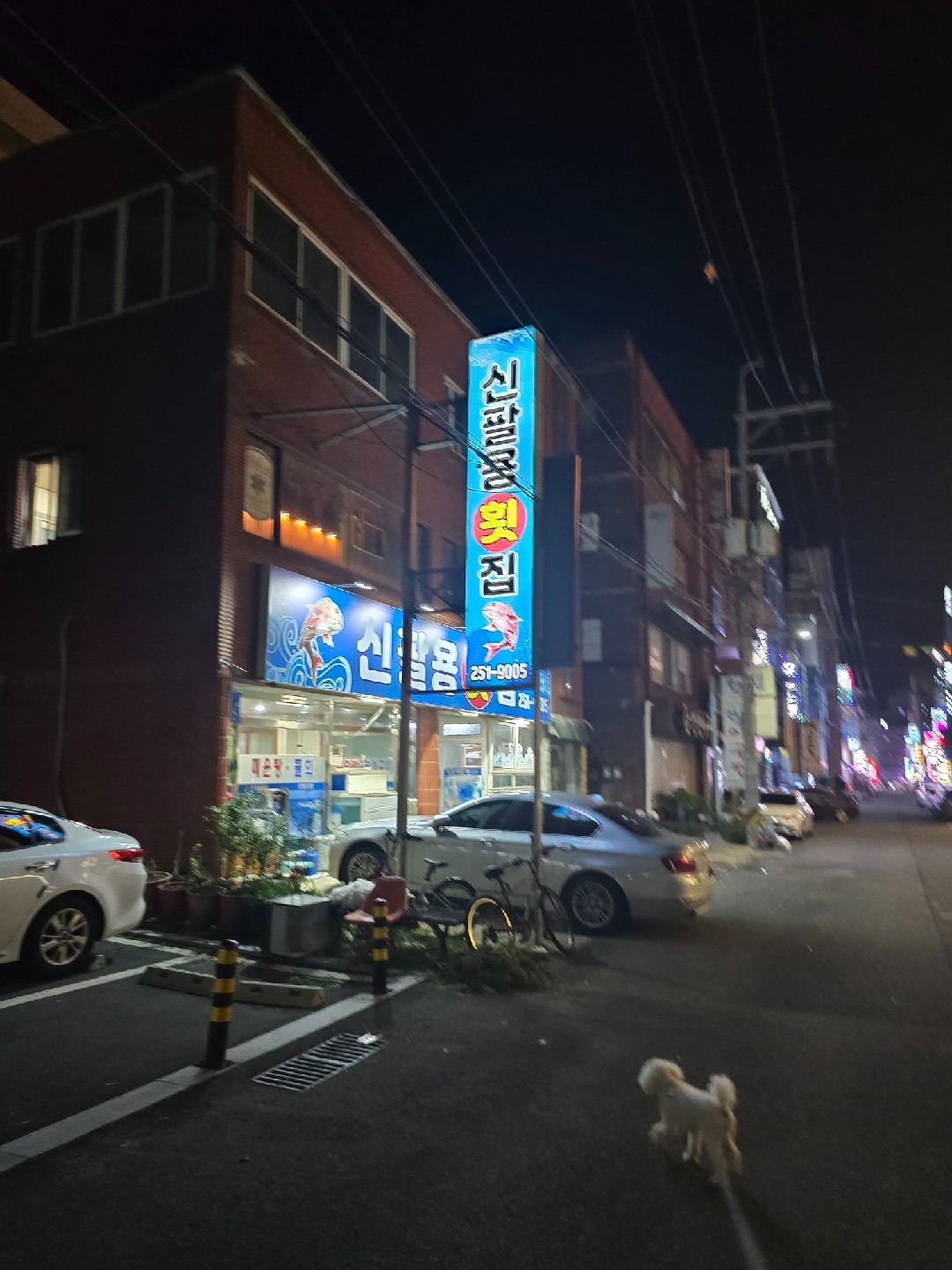 신팔용횟집 | 경상남도 창원시 의창구 팔용동 | 횟집/생선회 | 당근 동네 업체