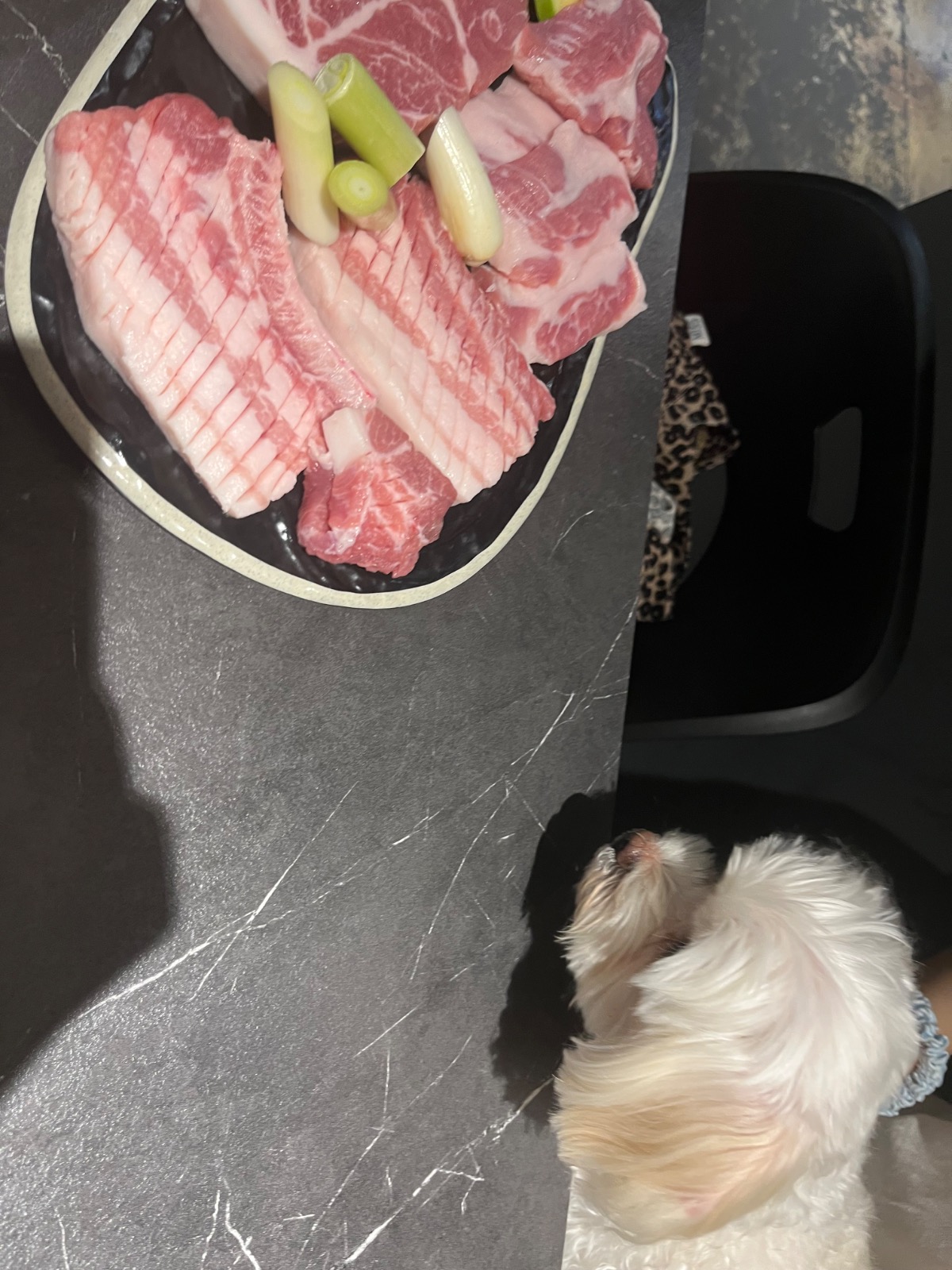 온천천 산책