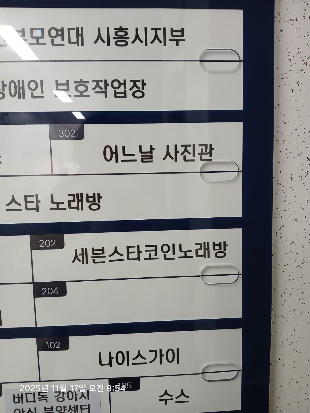 어느날,사진관 | 경기도 시흥시 은행동 | 사진관 | 당근 동네 업체