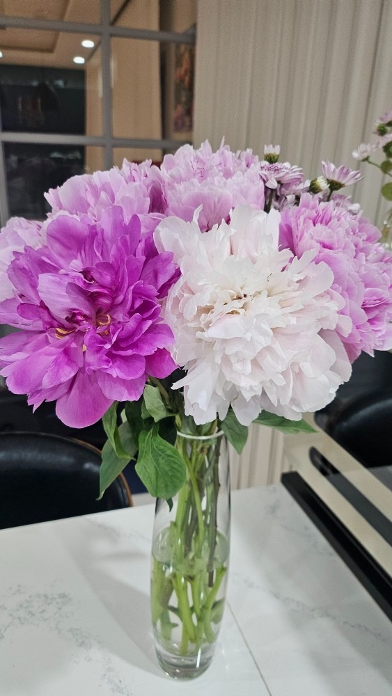 산지직송 싱싱한 작약 꽃 배송 picture 5