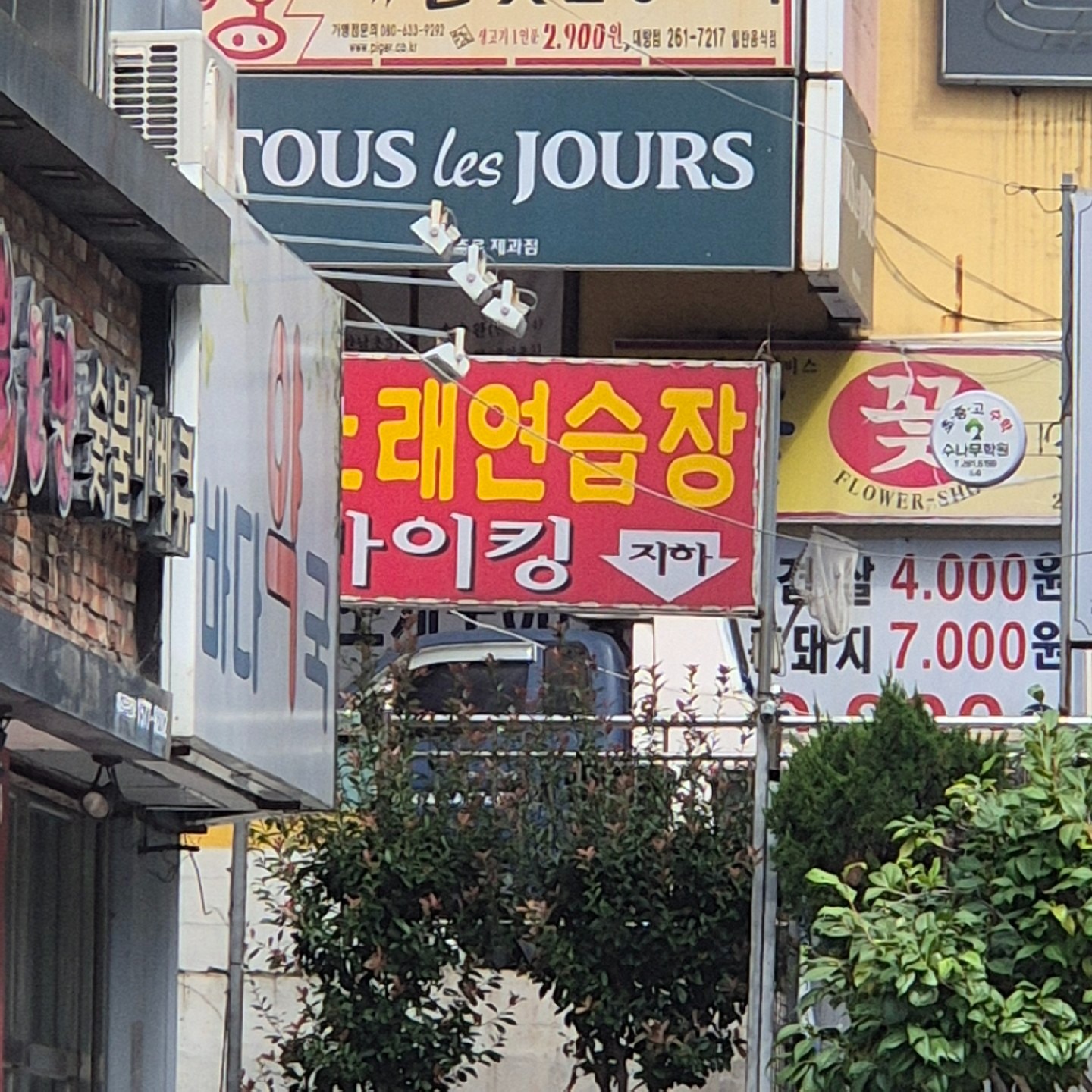 경상남도 창원시 진해구 인사동 이웃들이 자주 가는 노래방 | 당근