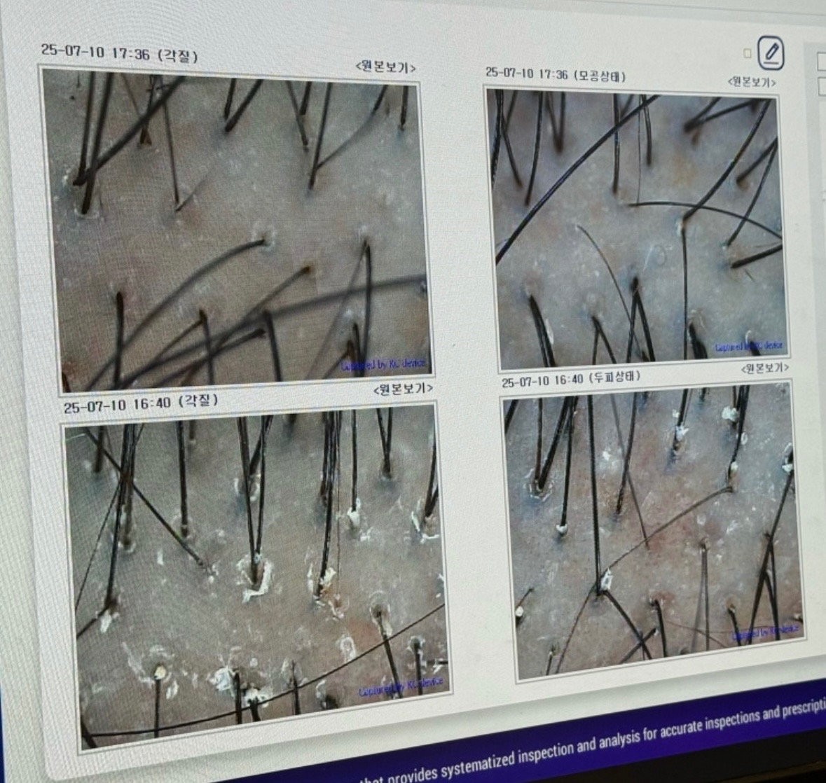 닥터모락 위례점 picture 1