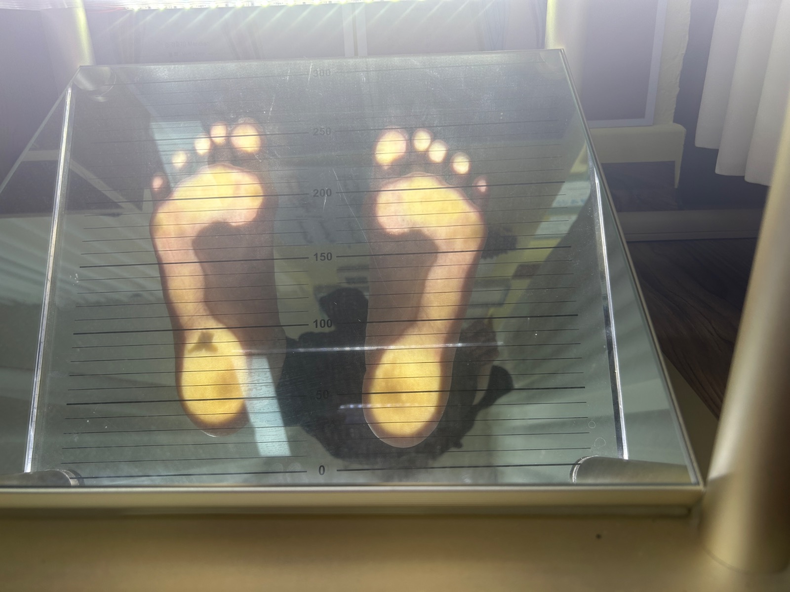필라테스쏘울 picture 2