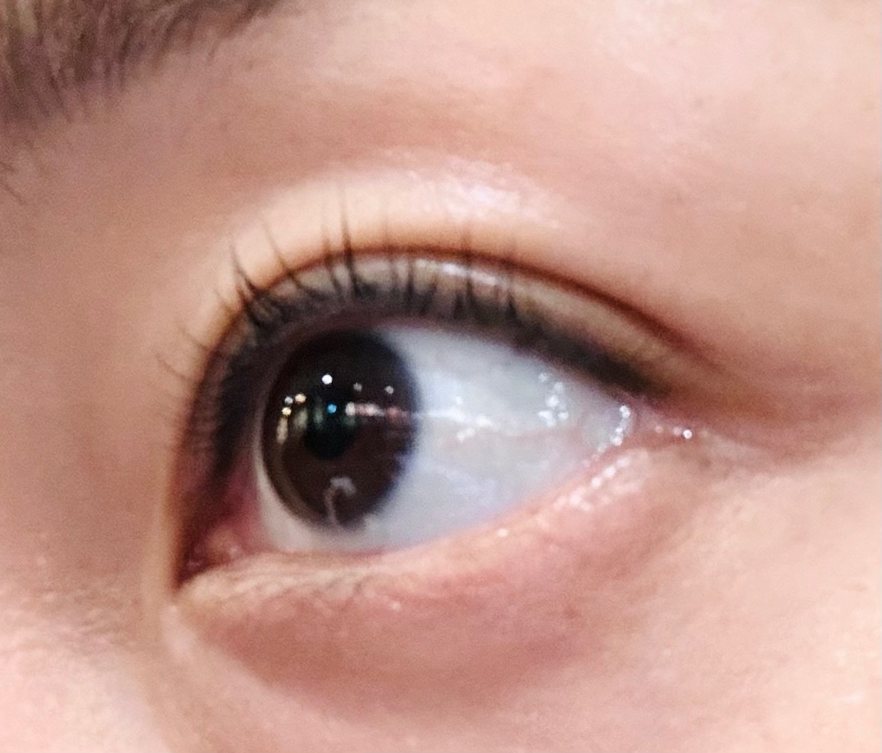 가꾸는동안 안산고잔더하이브점 picture 6