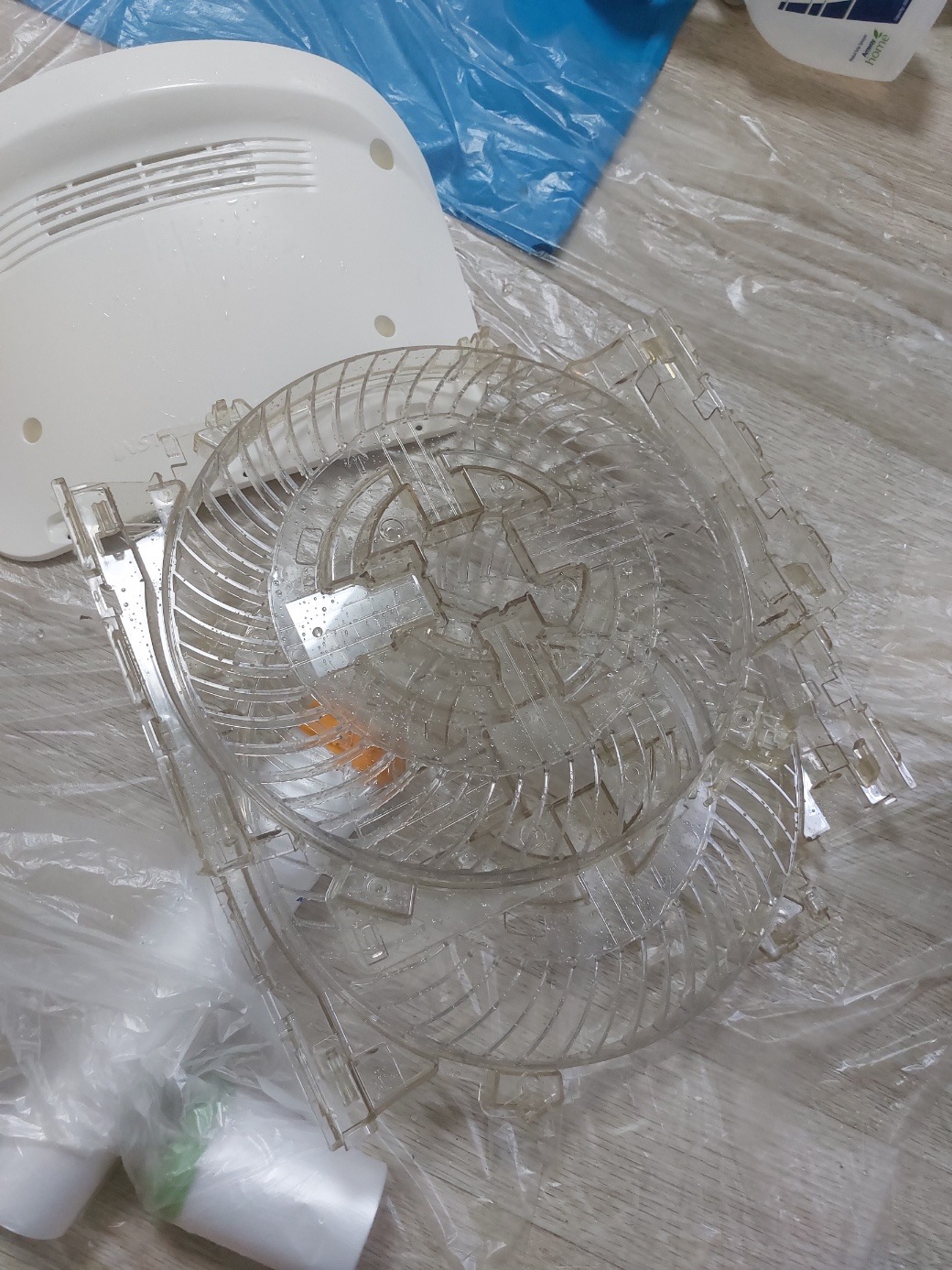 그린케어스 picture 5