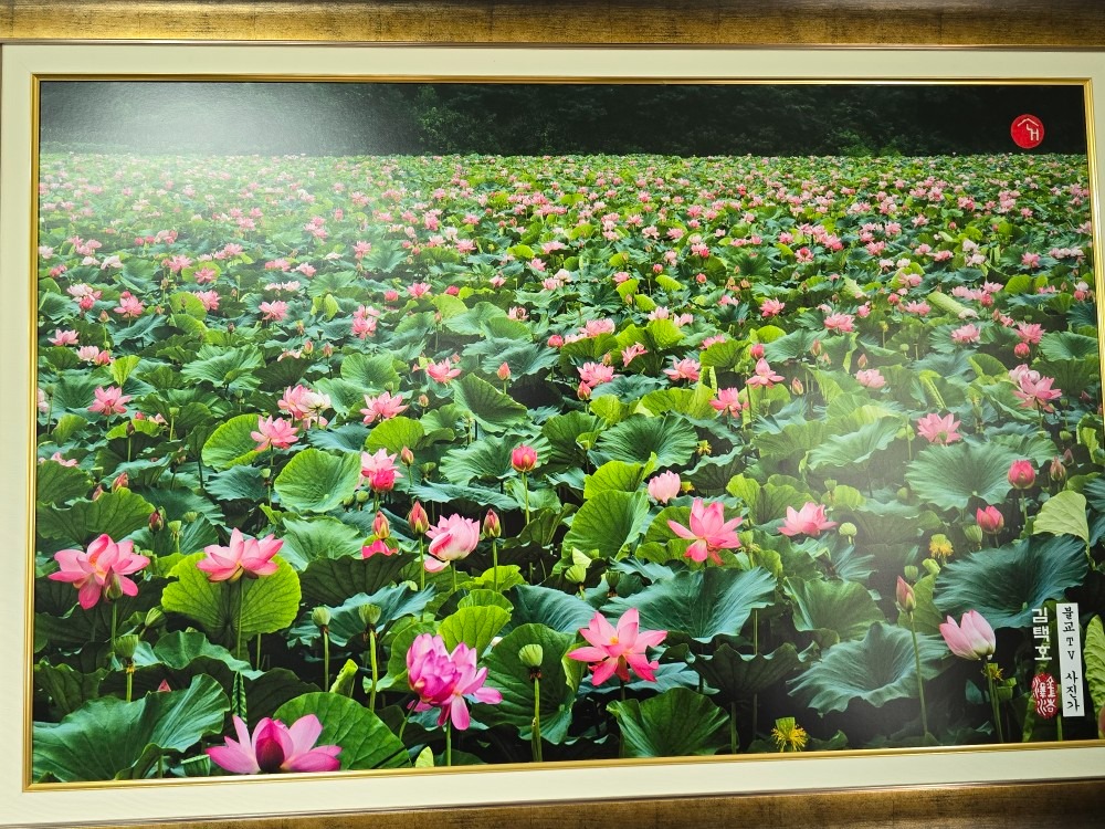 연지기쉼터 picture 3