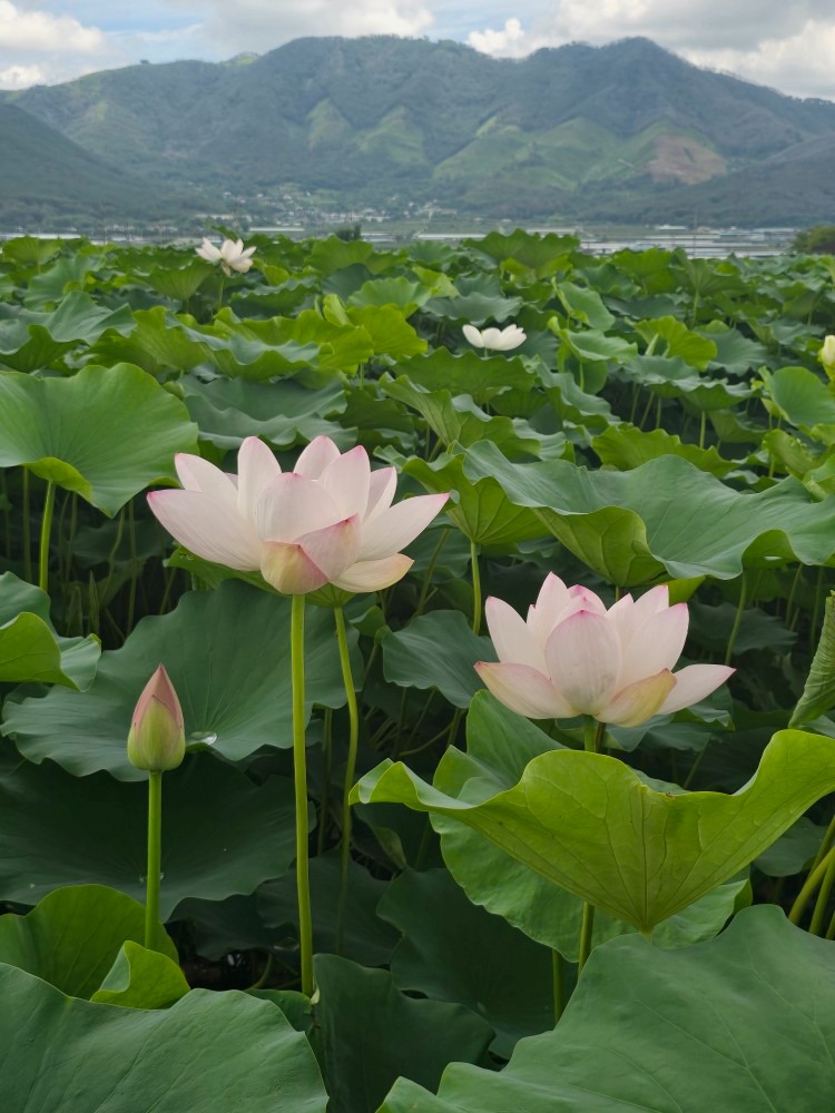 연지기쉼터 picture 6