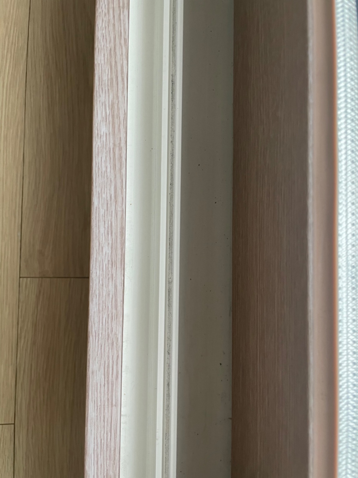 청소몬스터 picture 7