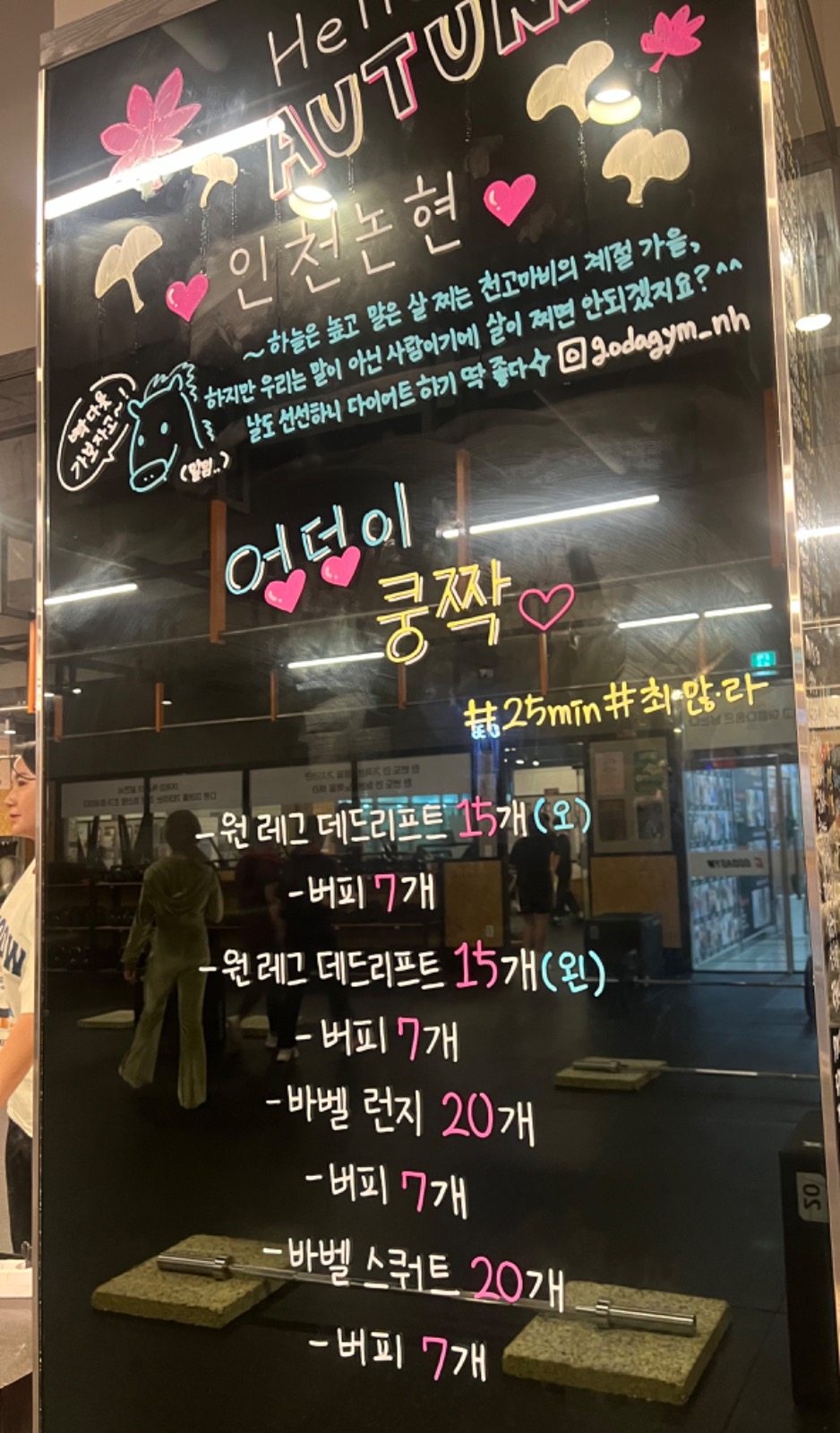 그리핀도르 review