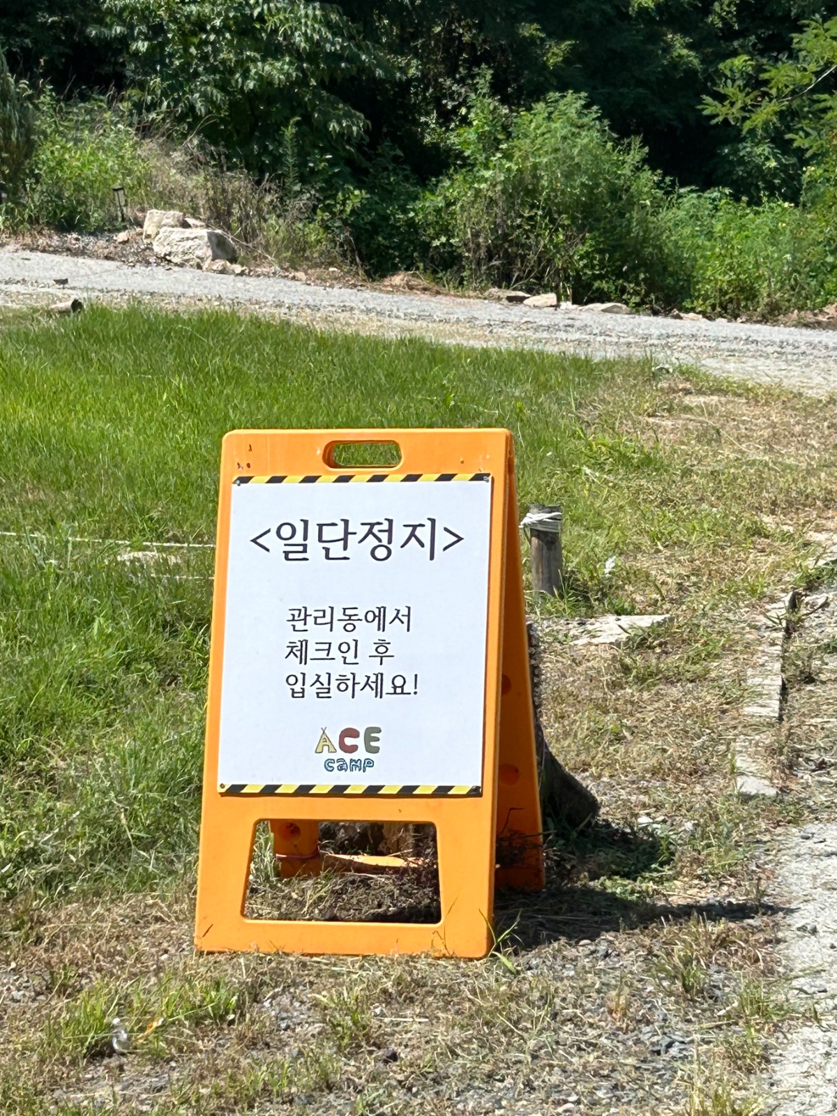 에이스캠프