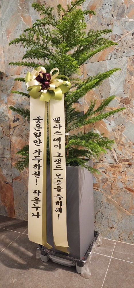 꽃방해바라기 picture 2