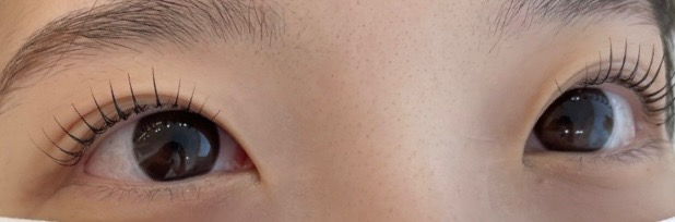 대전둔산동 둔산동속눈썹