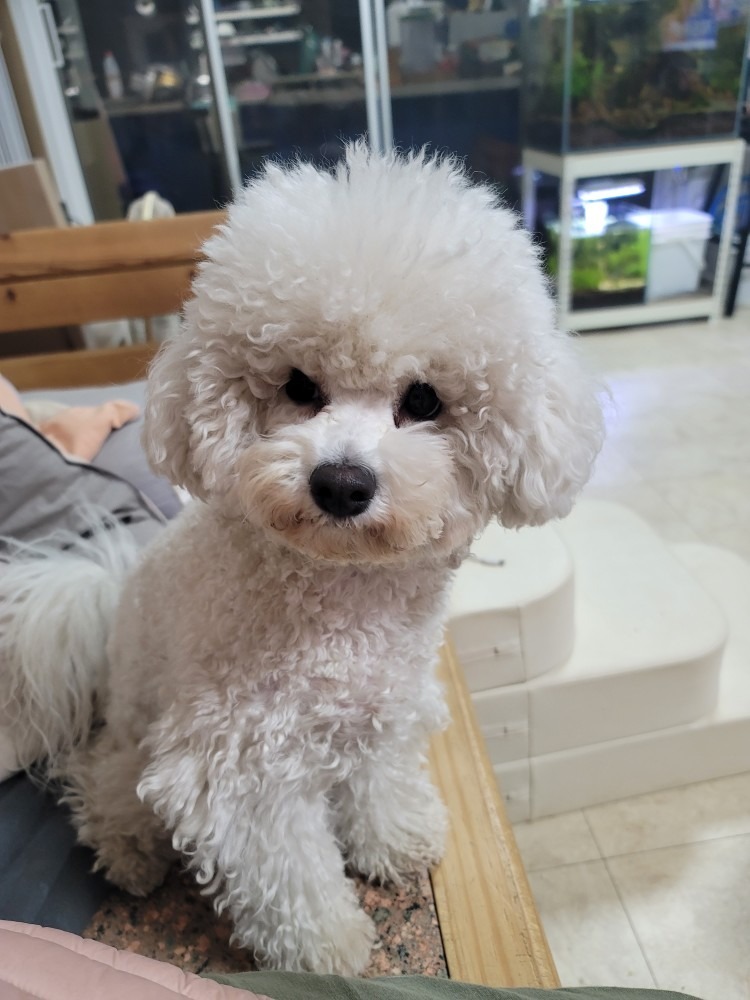 논산팻시터서비스