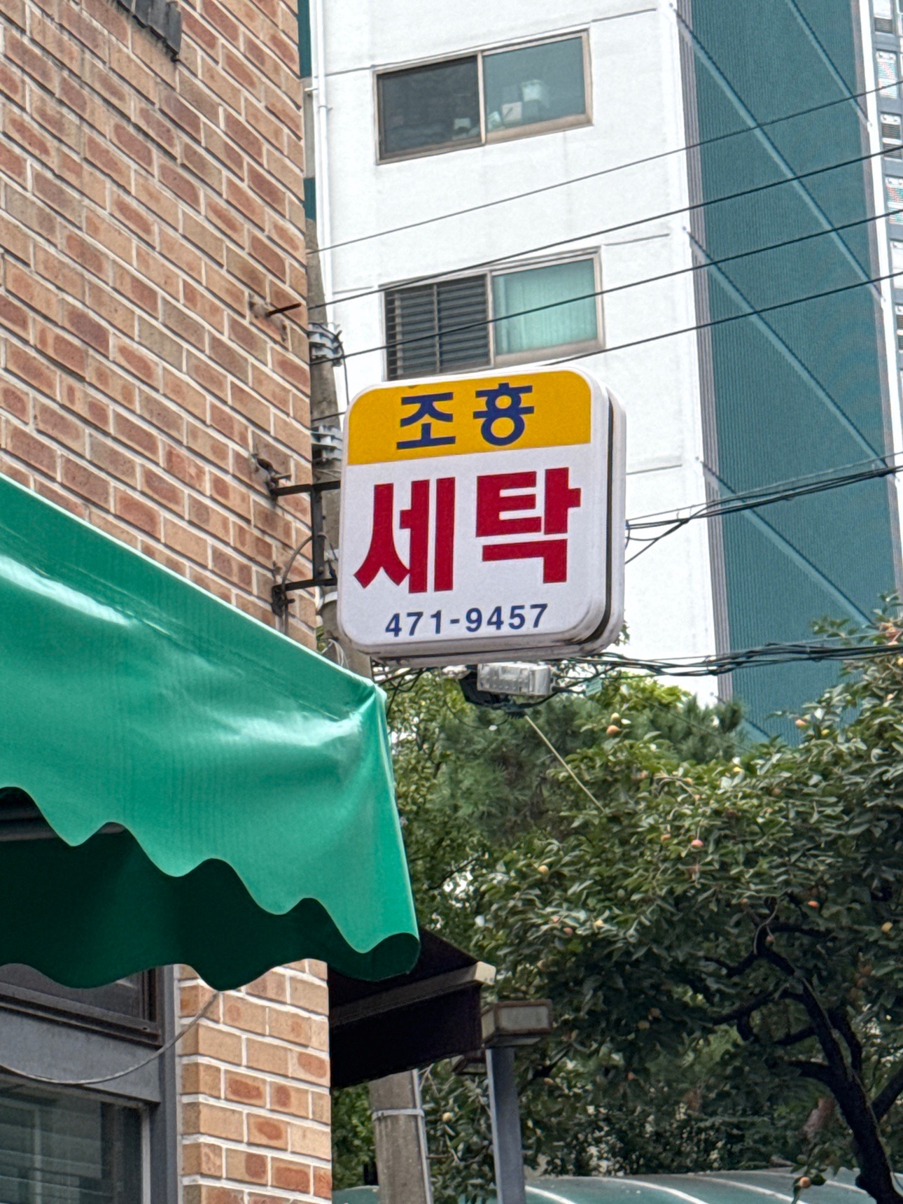 서울특별시 송파구 오금동 이웃들이 자주 가는 세탁소/빨래방 | 당근