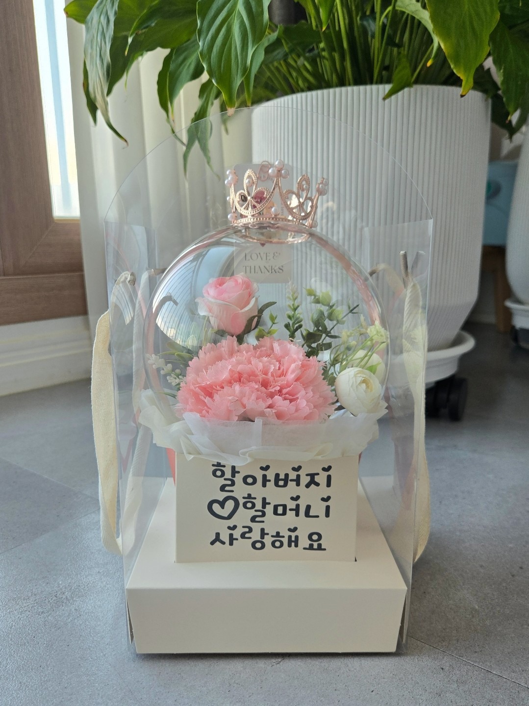 나비야 review