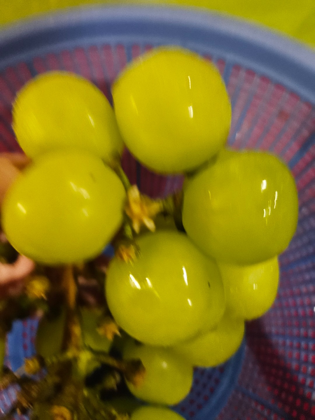 세종재래시장 picture 5