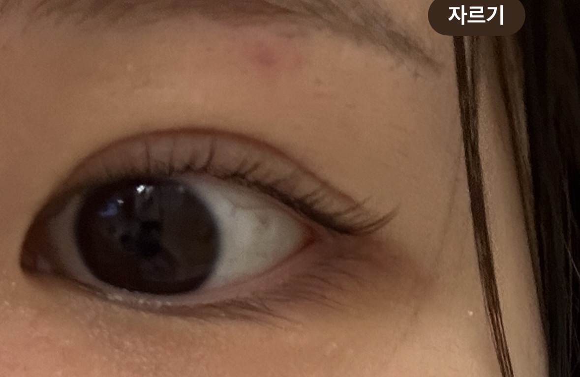 해라브로우 picture 6
