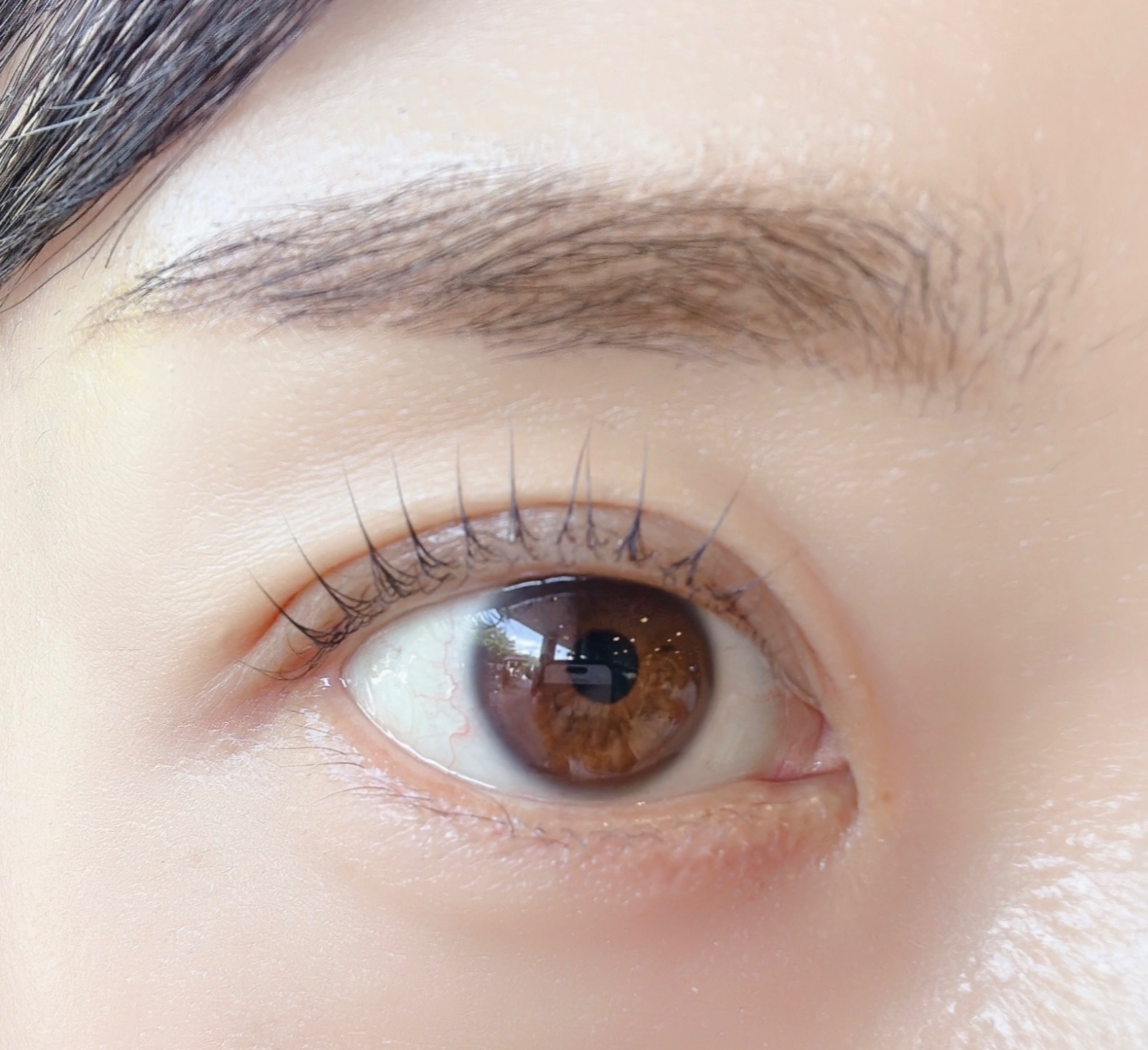 미미블리 picture 1