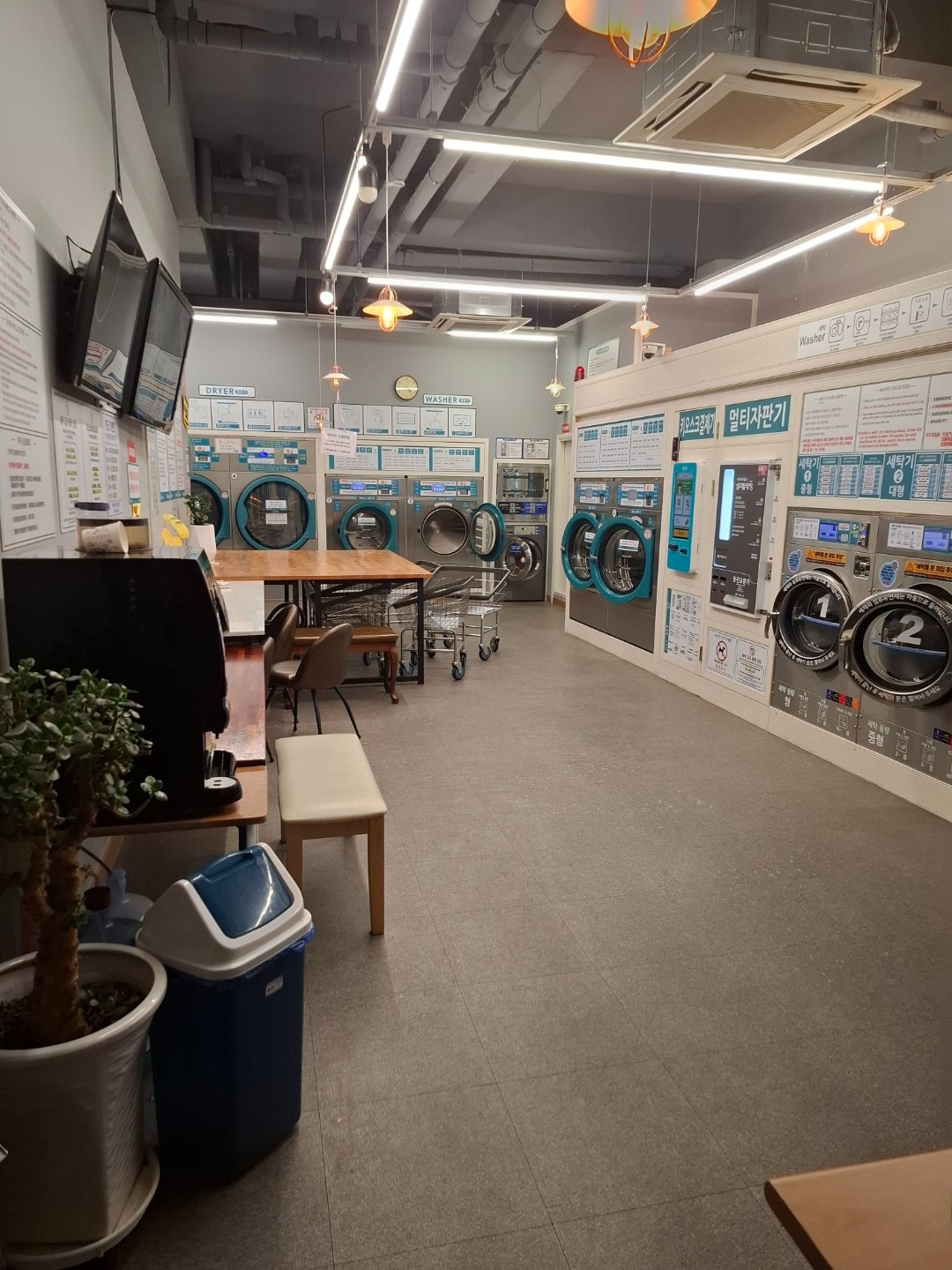 대전광역시 대덕구 읍내동 이웃들이 자주 가는 세탁소/빨래방 | 당근