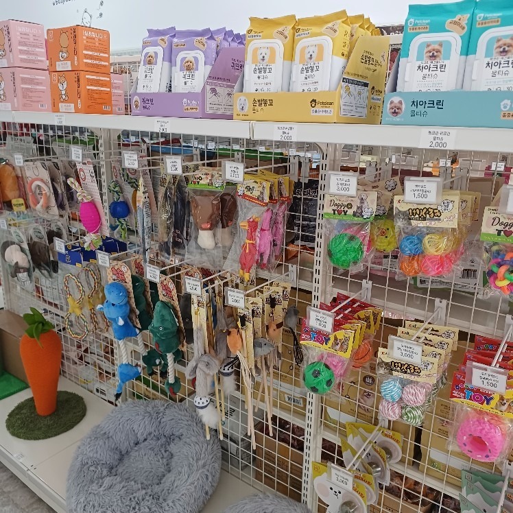 멍이냥이
