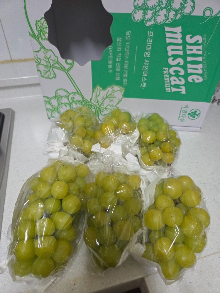 아람다온농장 picture 5