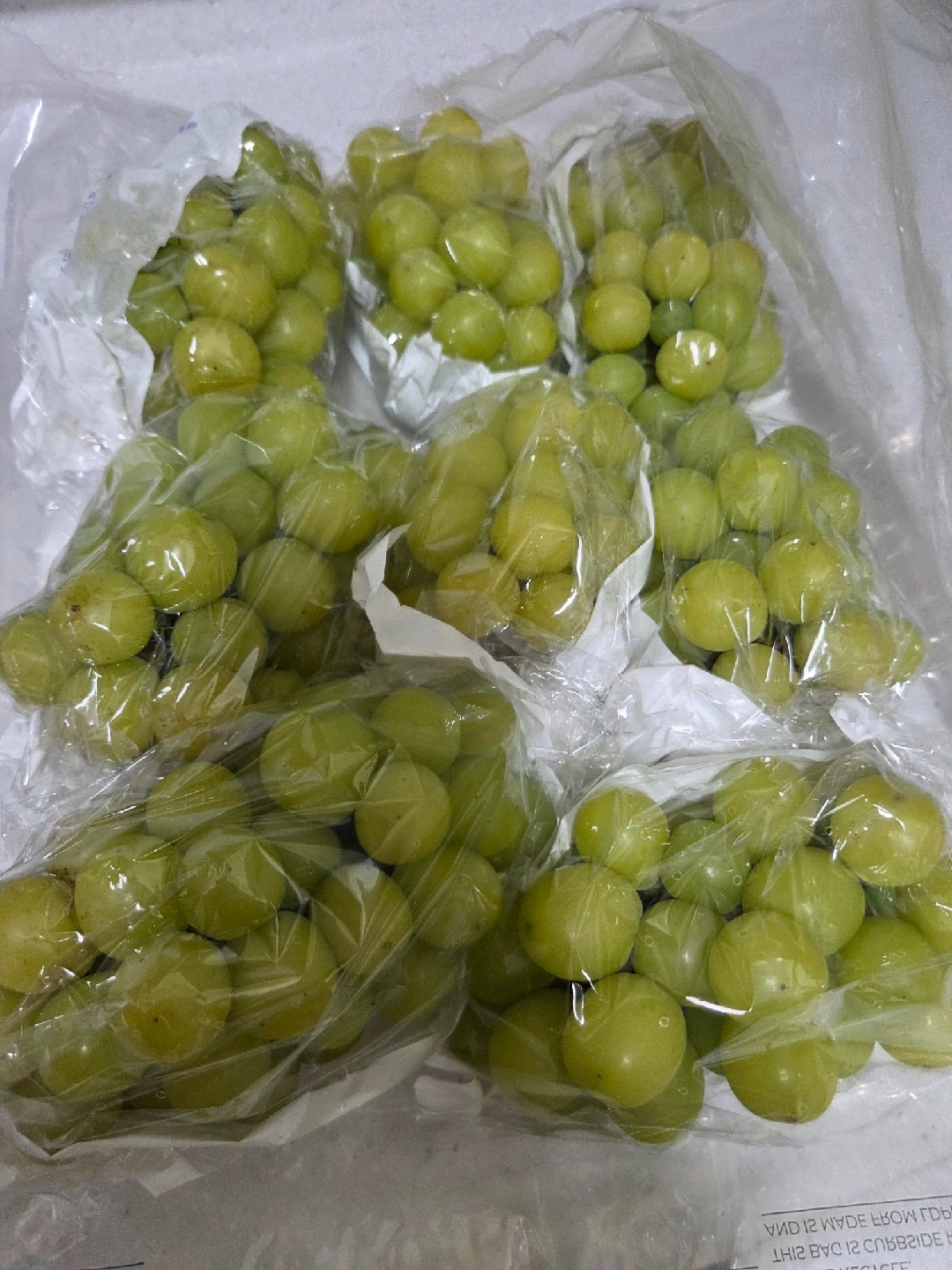 아람다온농장 picture 2