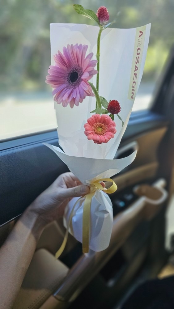 다산지금살아요 review