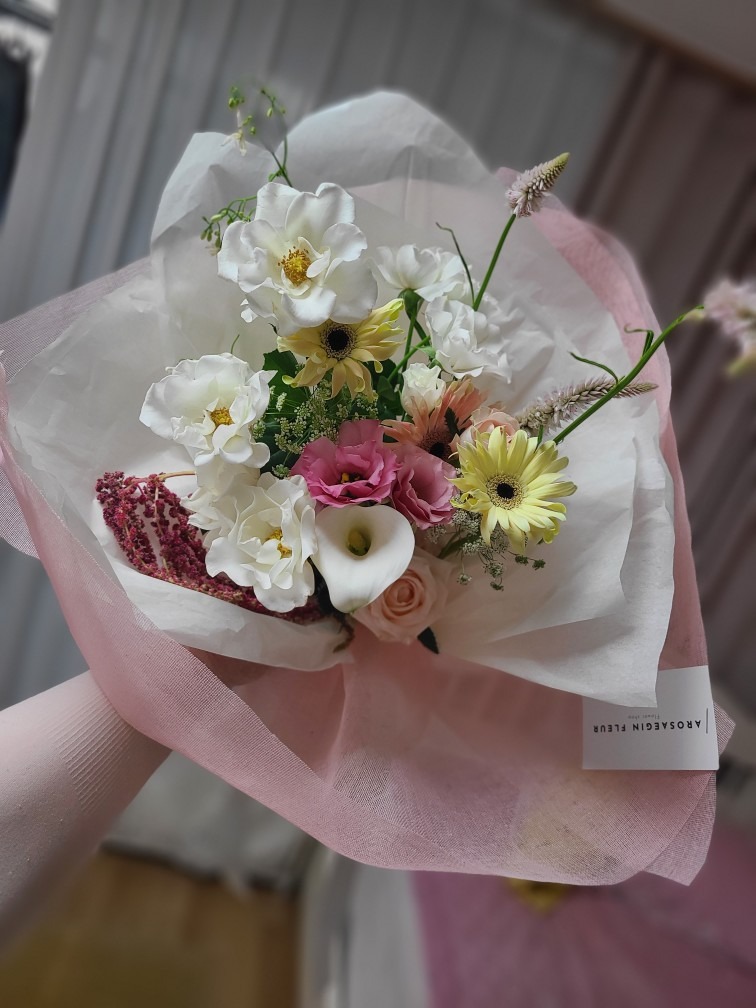 슈가첼 review