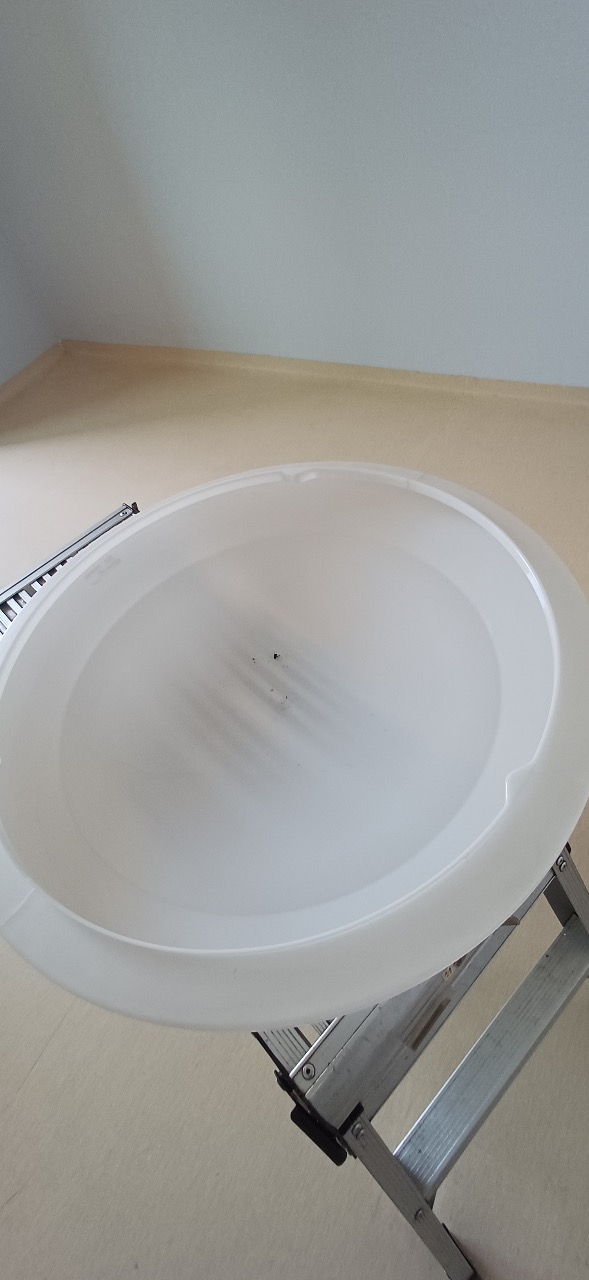 청소광장 picture 3