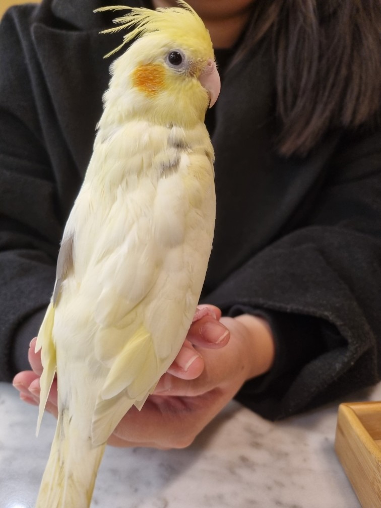 힐링코어 카페 picture 9