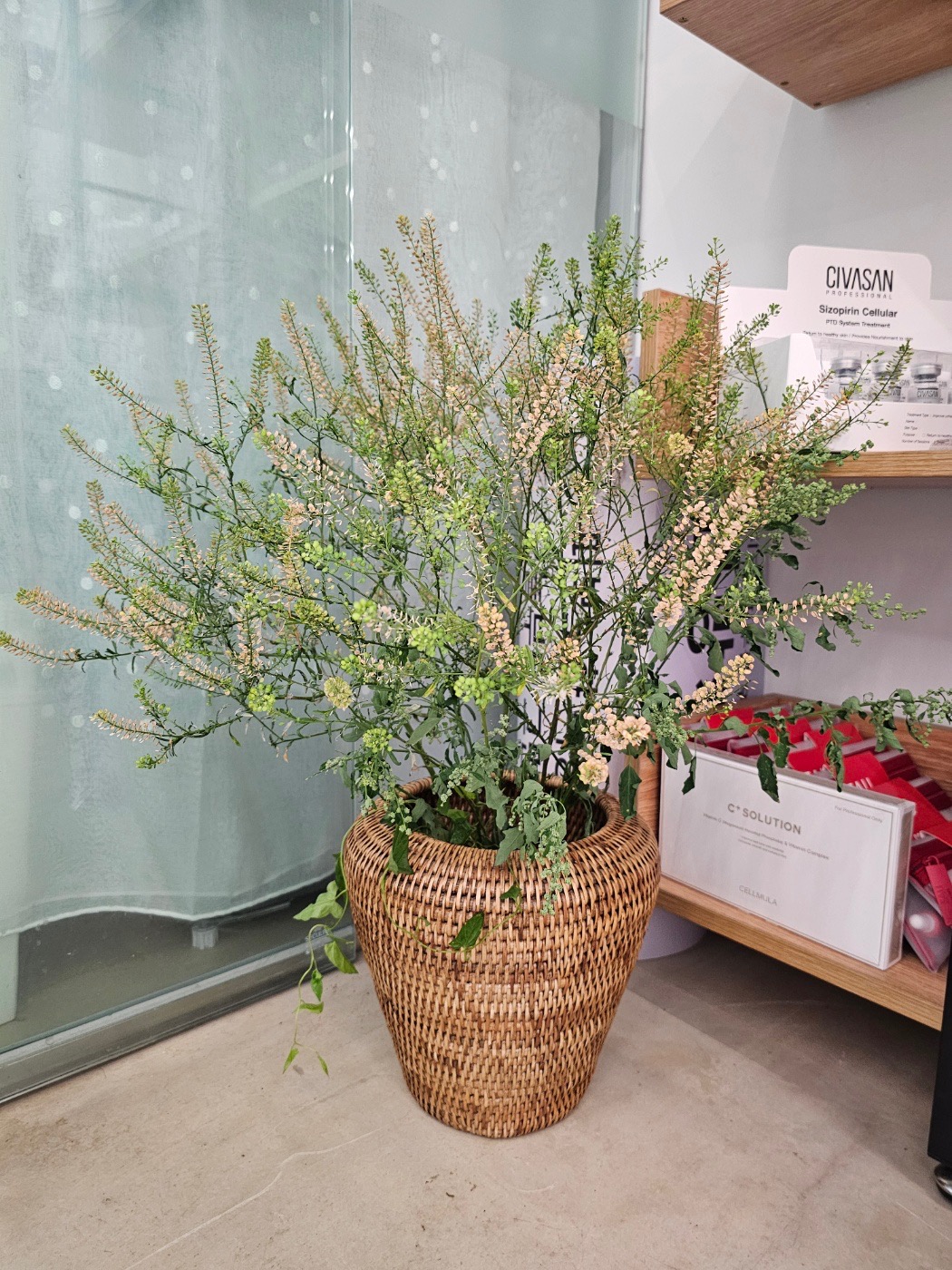 꿀잠연구소 picture 7