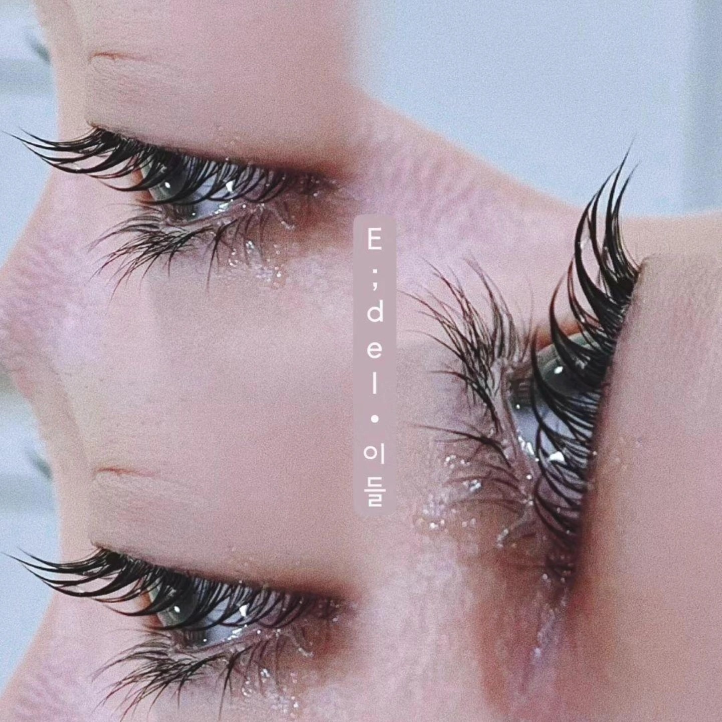 이들